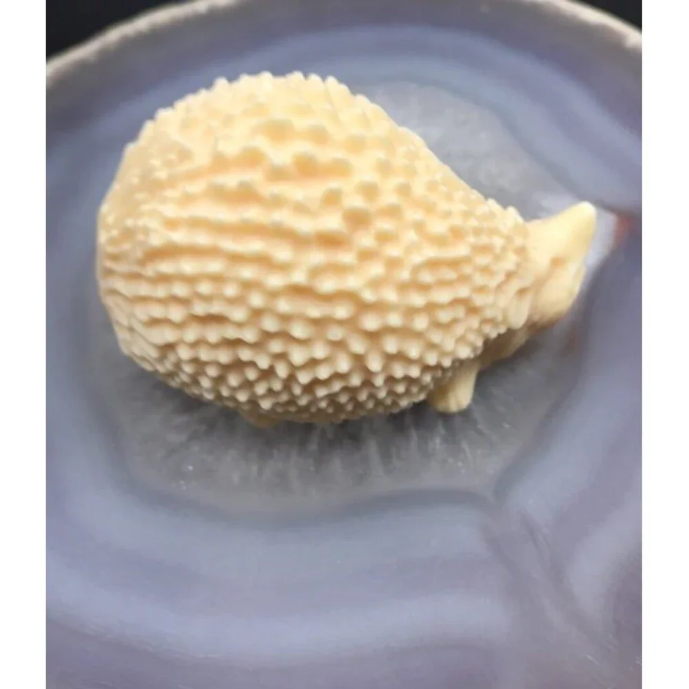 Adorable Hedgehog Carving